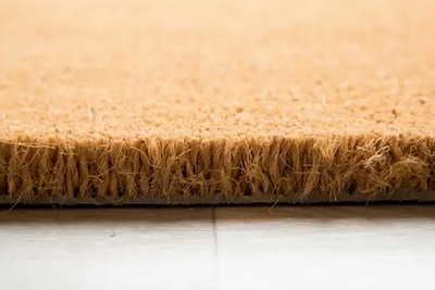 10 Interesting Facts About Coir!